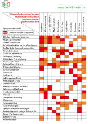 Borreliose Symtome